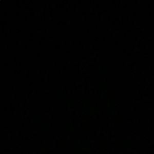 Meet your Posher, Allie